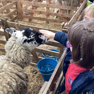 EYFS Farm Visit 1